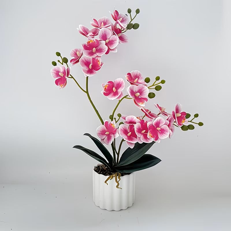 Kunstmatige Orchidee Bloemdisplay voor Thuisdecoratie en Binnendisplay
