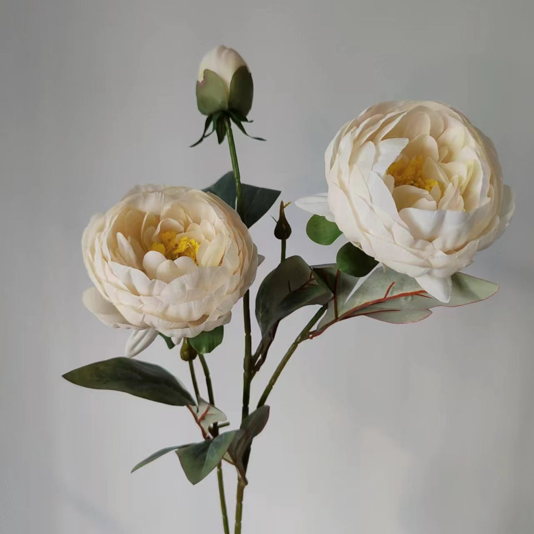 Elegante Pioenbloem Steel