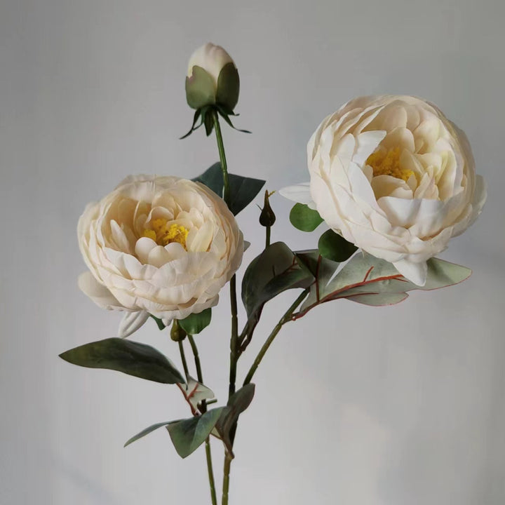 Elegante Pioenbloem Steel