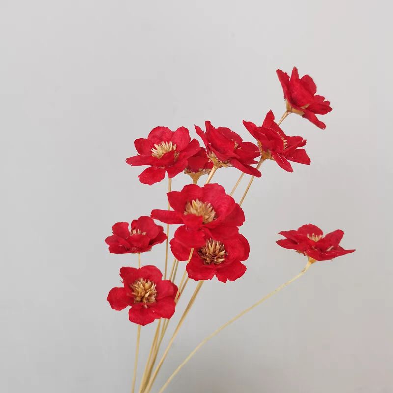 Decoratieve Gedroogde Bloemenboeket