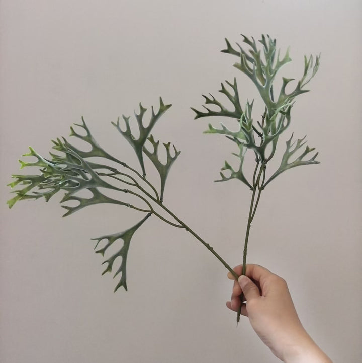 Decoratieve Varensbladsteel