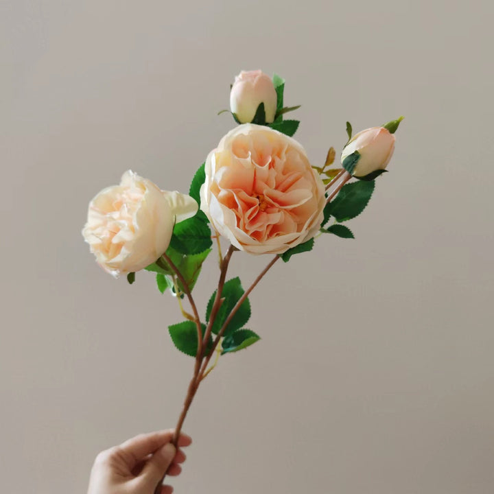 Realistische Bloemen Pioenstok