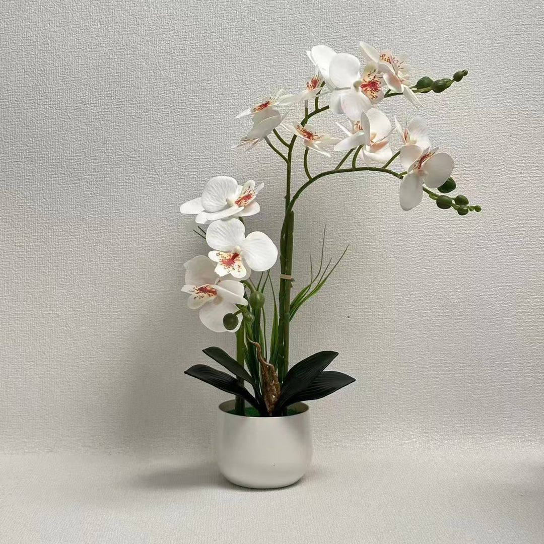 Exquisite Kunstmatige Orchidee Display