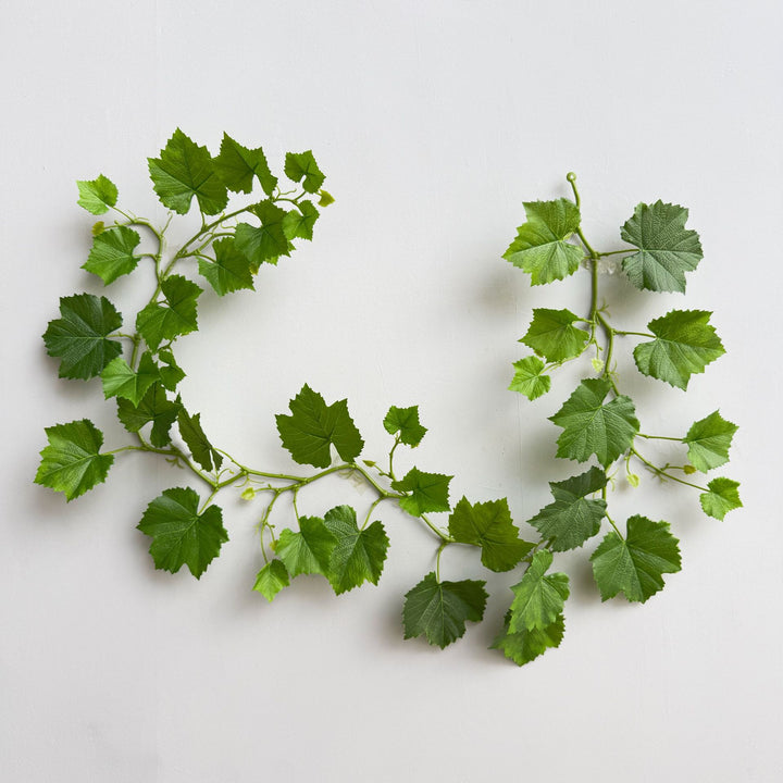 Weelderige Groene Decoratieve Wijnstok