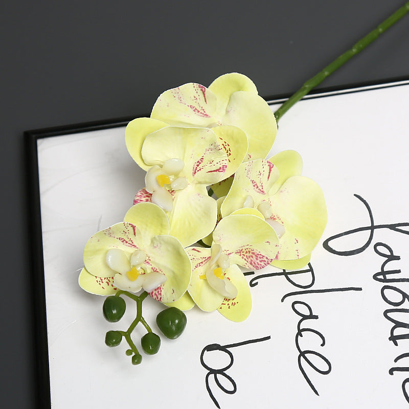 Levensechte Orchidee Bloem Steel