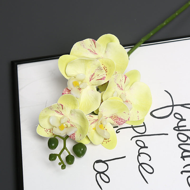 Levensechte Orchidee Bloem Steel