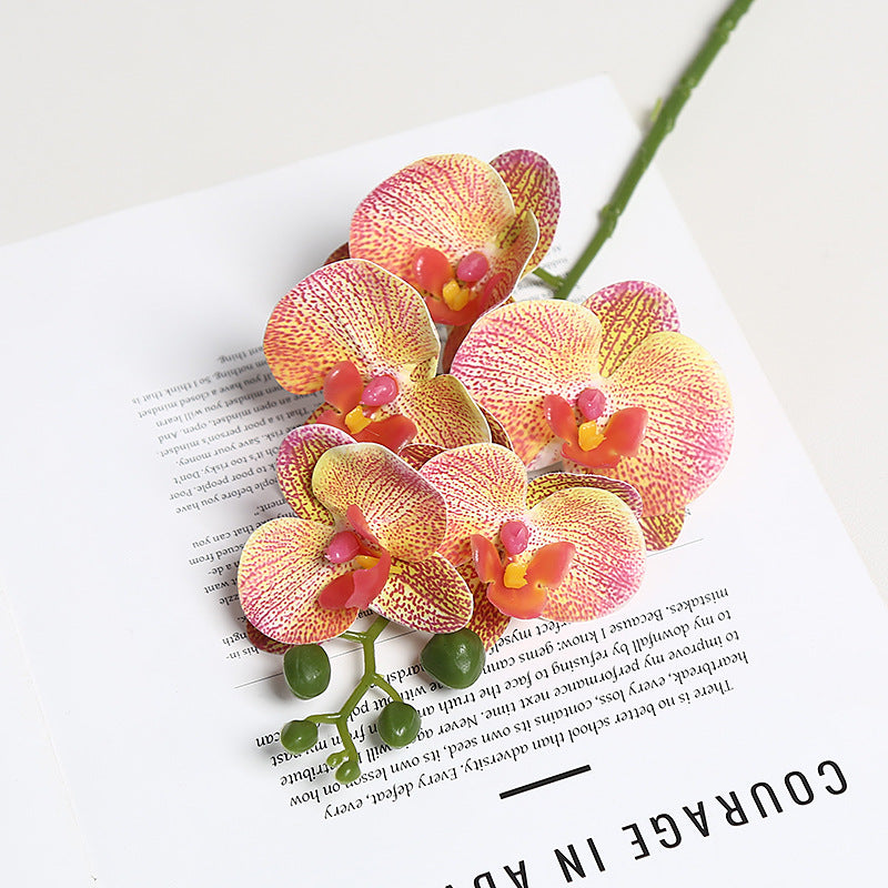 Realistische Orchidee Bloem Stem