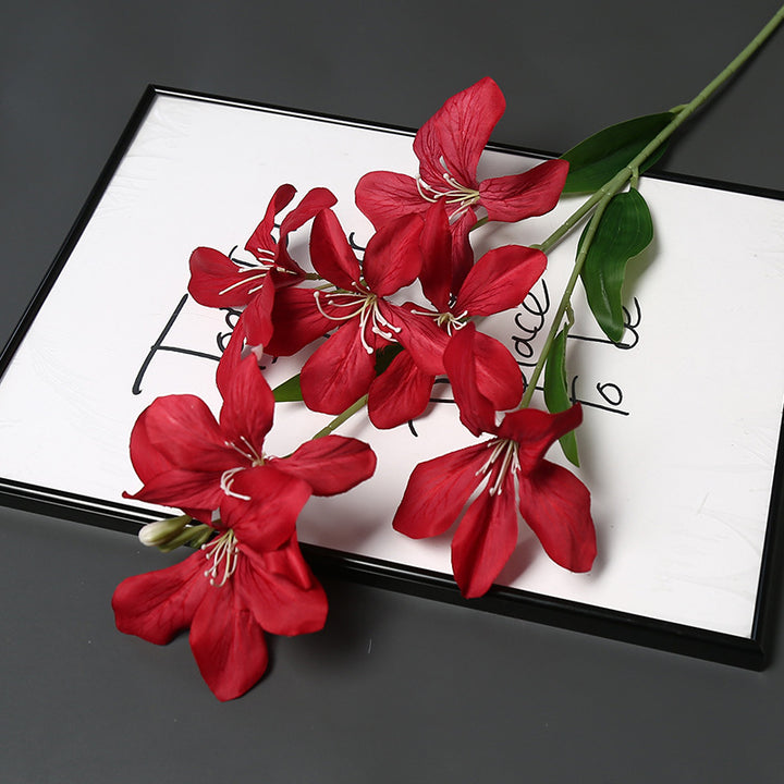 Elegante Pioen Rozen Bloemsteel voor Woondecoratie Tentoonstelling