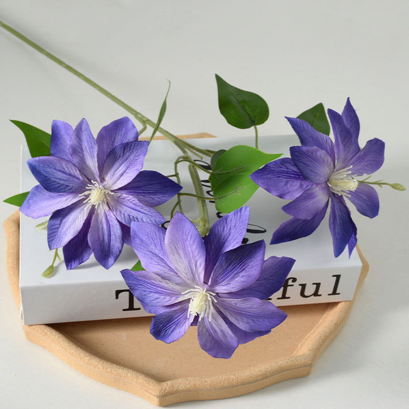 Decoratieve Florale Clematis Stengel