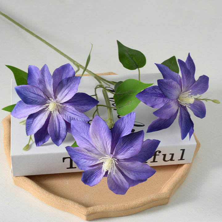 Decoratieve Florale Clematis Stengel