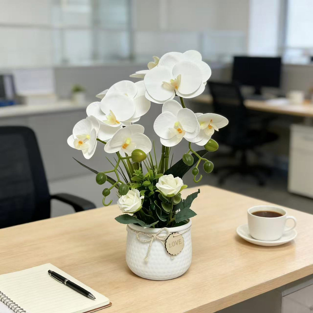Elegant Nepphango Orchid en Rozenplantenarrangement voor Decor