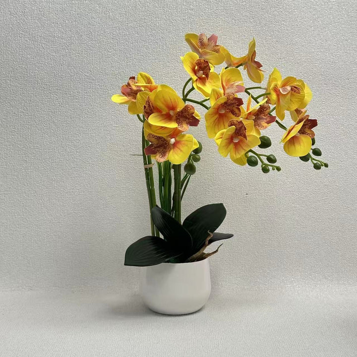 Exquisite Kunstmatige Orchidee Display
