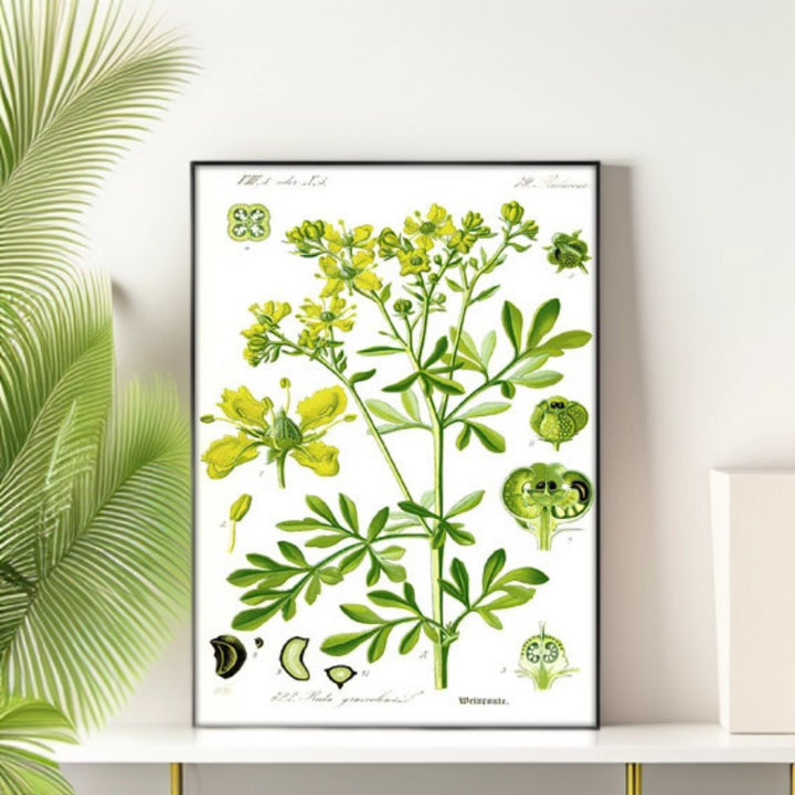 Botanische Kunstafdruk