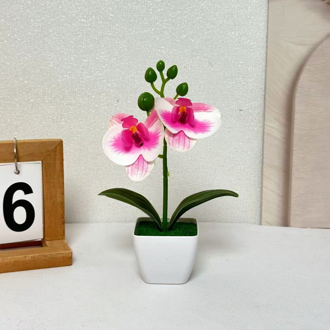 Levensechte Bloemige Orchidee Display voor Binnenhuisdecoratie