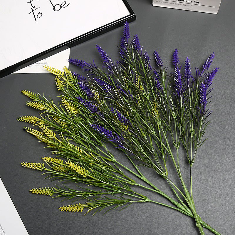Lavender Bloem Stengel