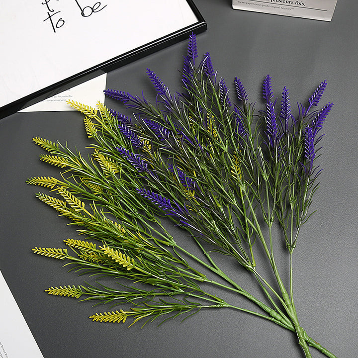 Lavender Bloem Stengel