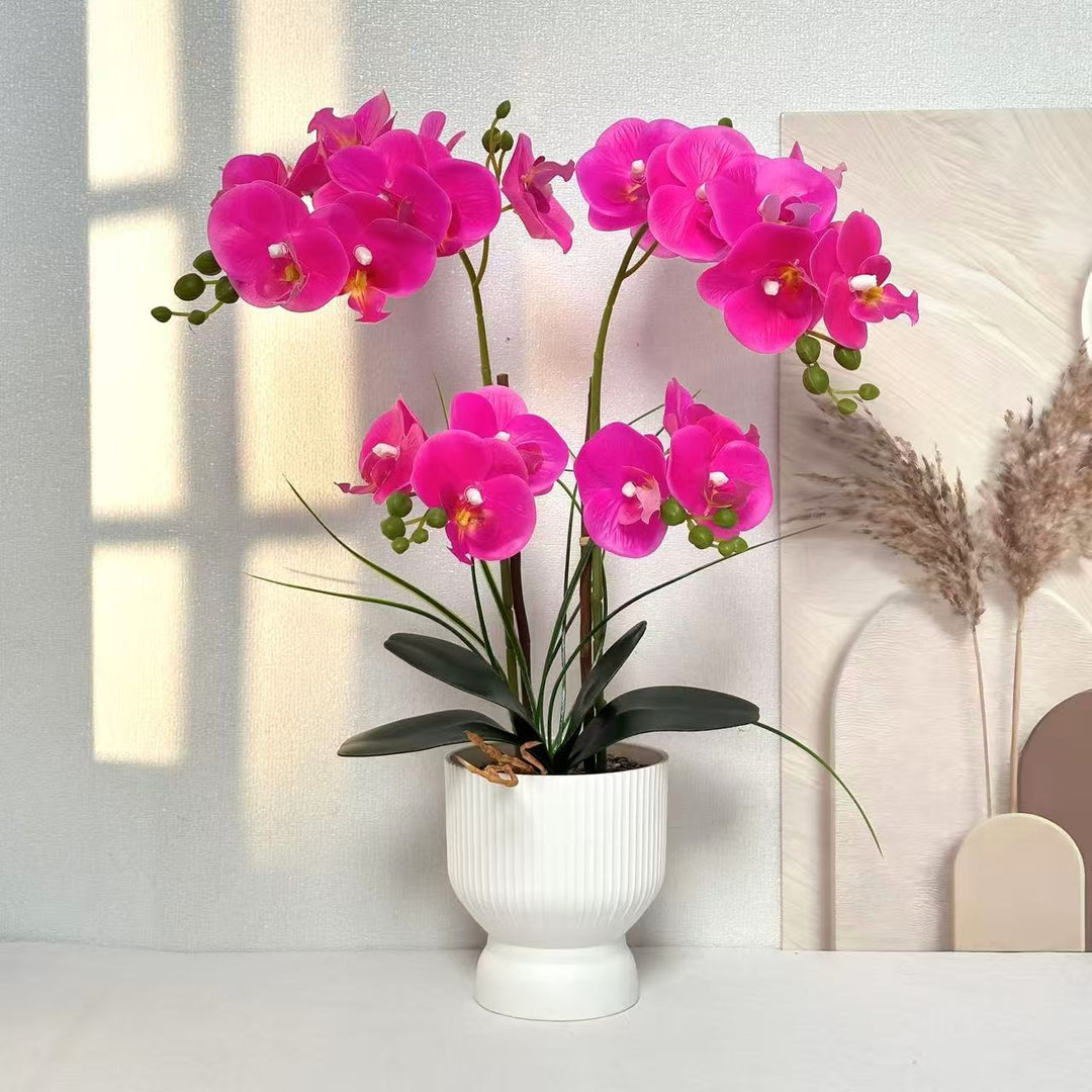 Elegante Neporchidee Arrangement voor Tafeldecoratie