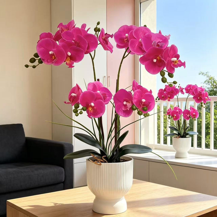 Elegante Neporchidee Arrangement voor Tafeldecoratie