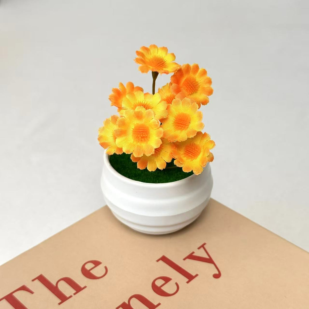 Decoratieve Daisy Plantenarrangement