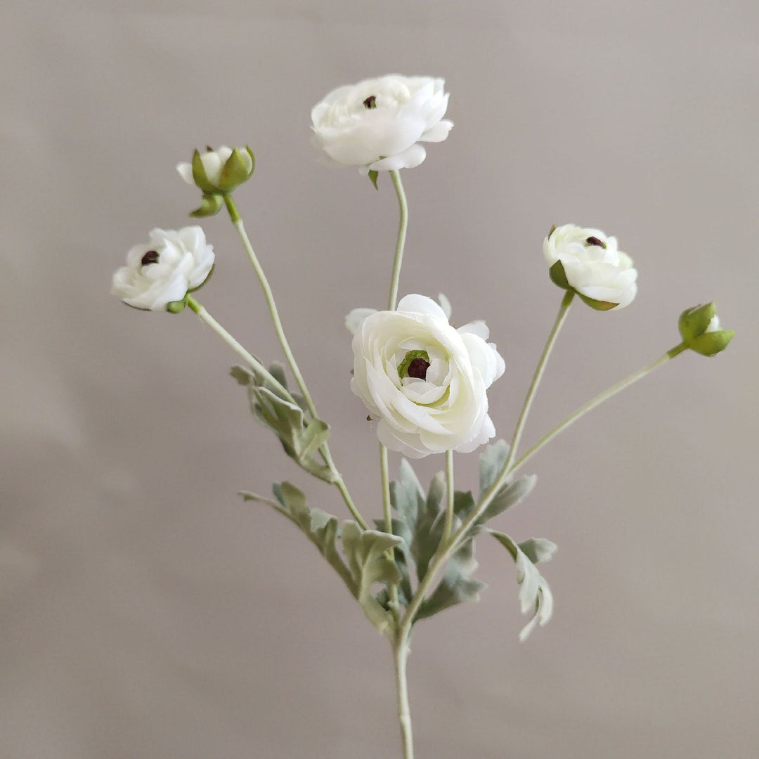 Levensechte Ranunculus Bloemsteel