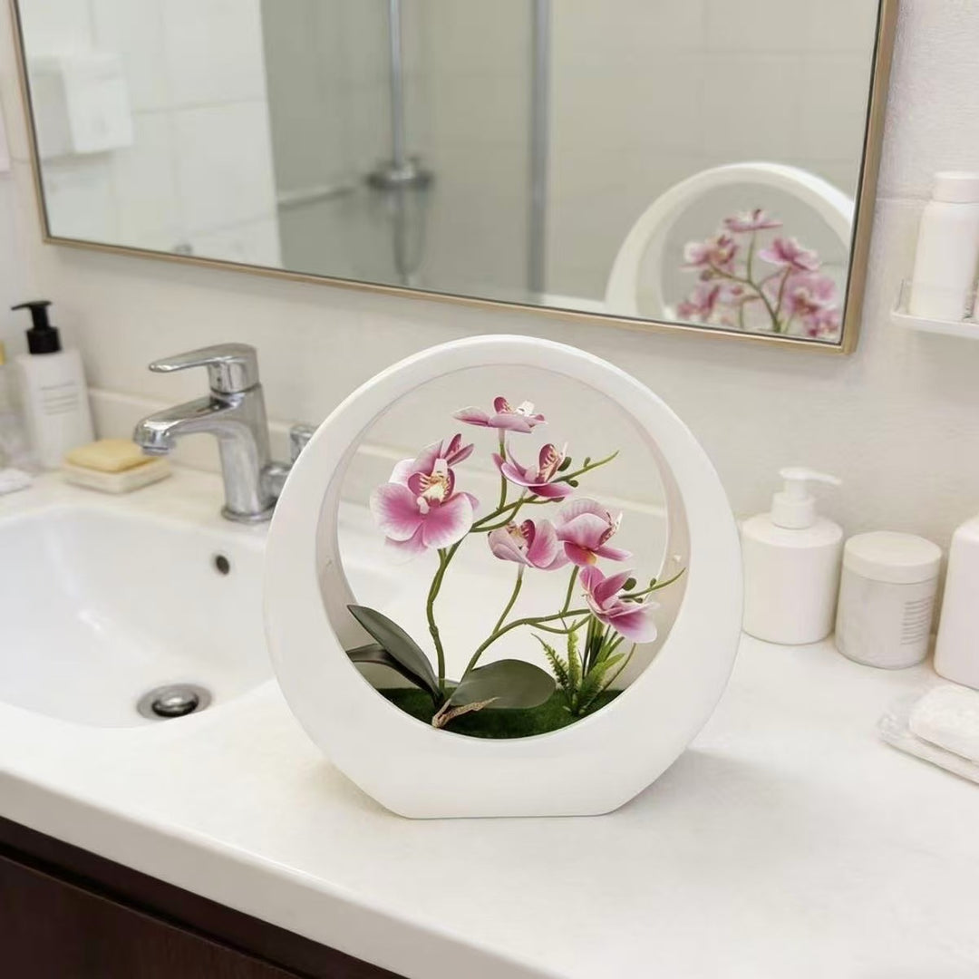 Decoratieve Orchidee Display voor Binnenhuisdecoratie