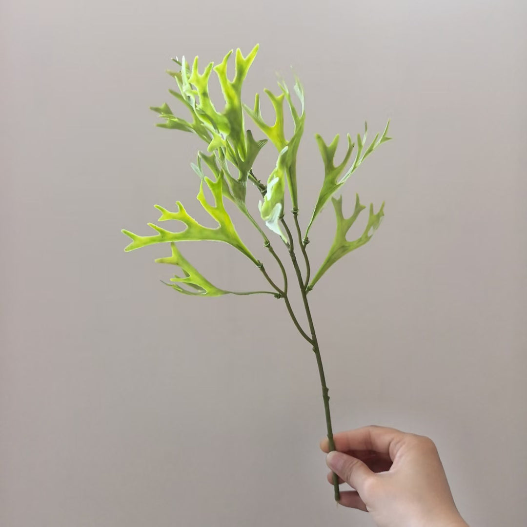 Decoratieve Varensbladsteel