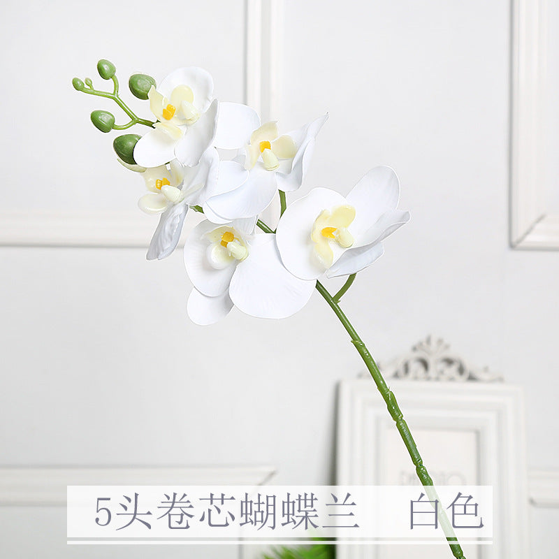 Realistische Orchidee Bloem Stem