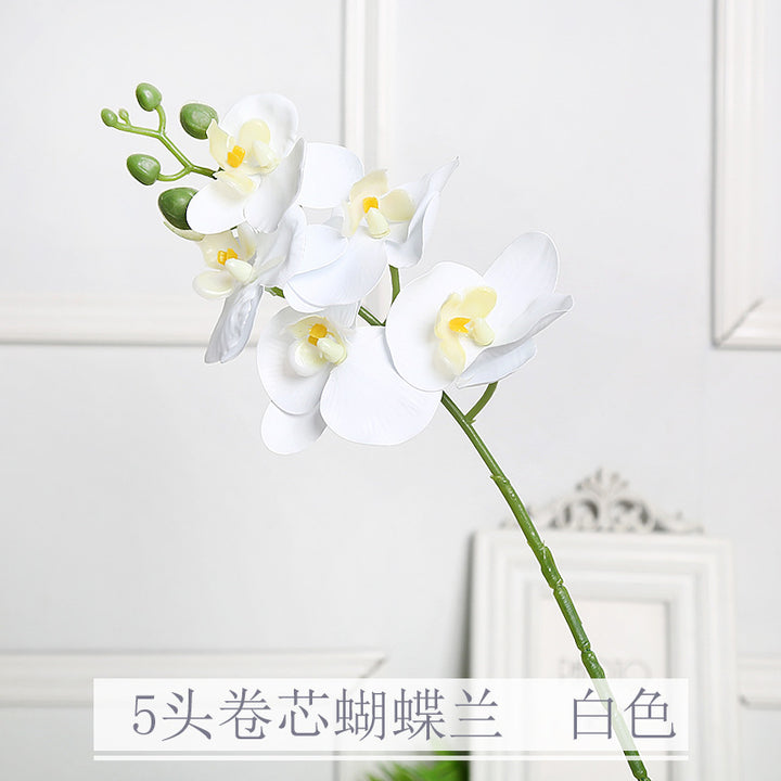 Realistische Orchidee Bloem Stem