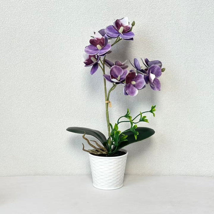 Kunstmatige Orchidee Arrangement voor Decoratieve Binnenweergave