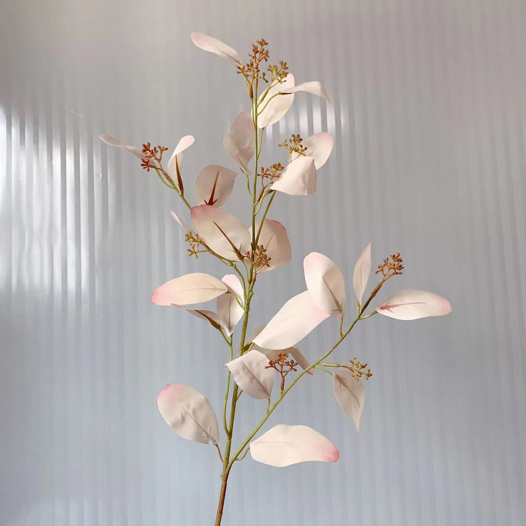 Natuurlijke Eucalyptus Tak