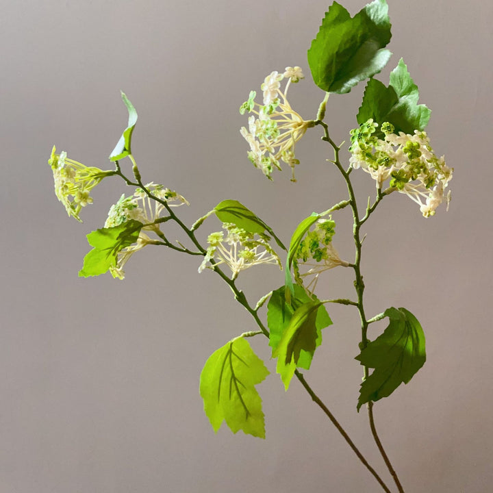 Realistische Decoratieve Bloemstengel