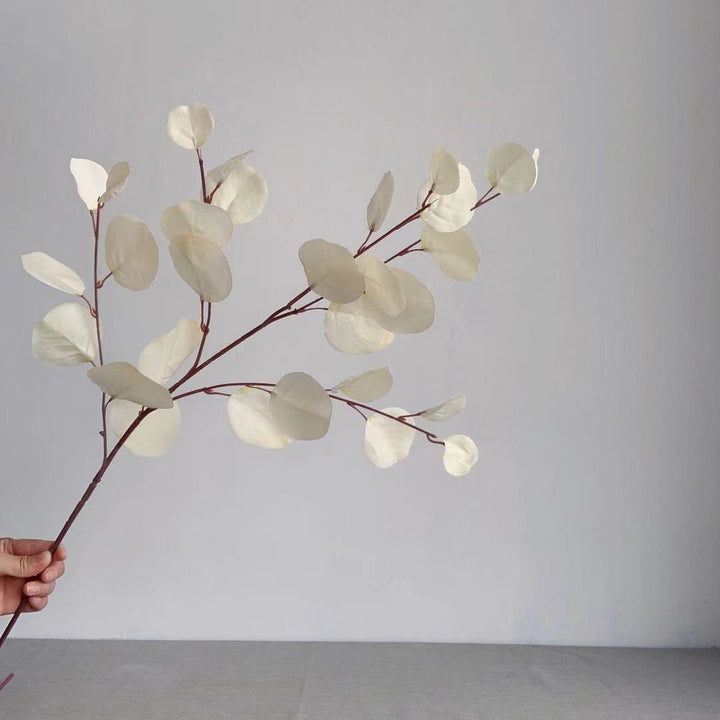 Decoratieve Eucalyptus Steel