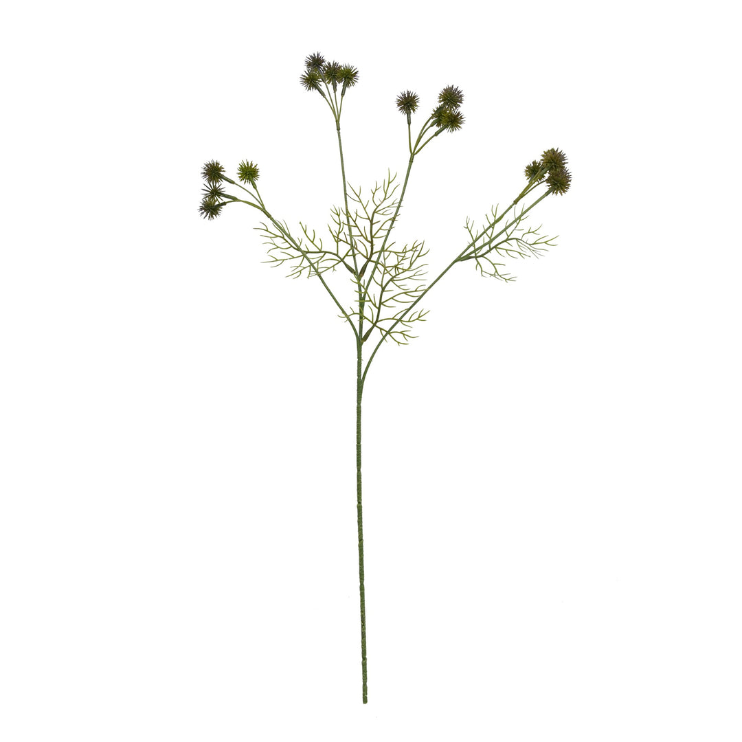 Levensechte Botanische Stam Tentoonstelling