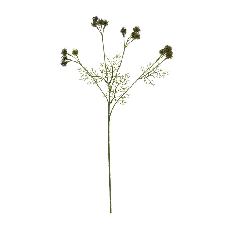 Levensechte Botanische Stam Tentoonstelling