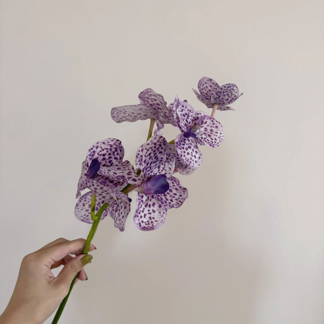 Elegante Kunstmatige Orchidee Stam