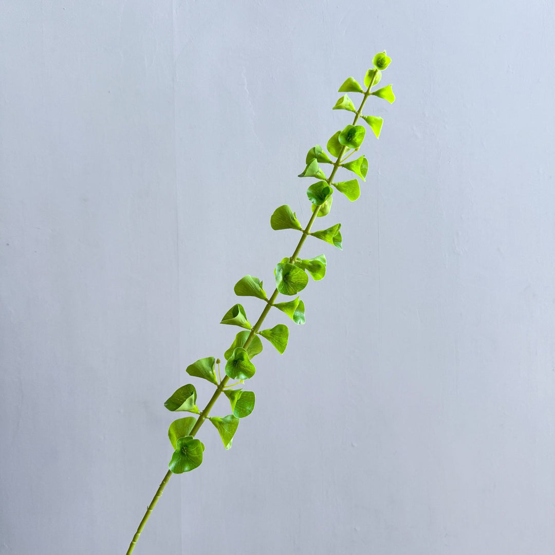 Stijlvolle Binnenplant Decor