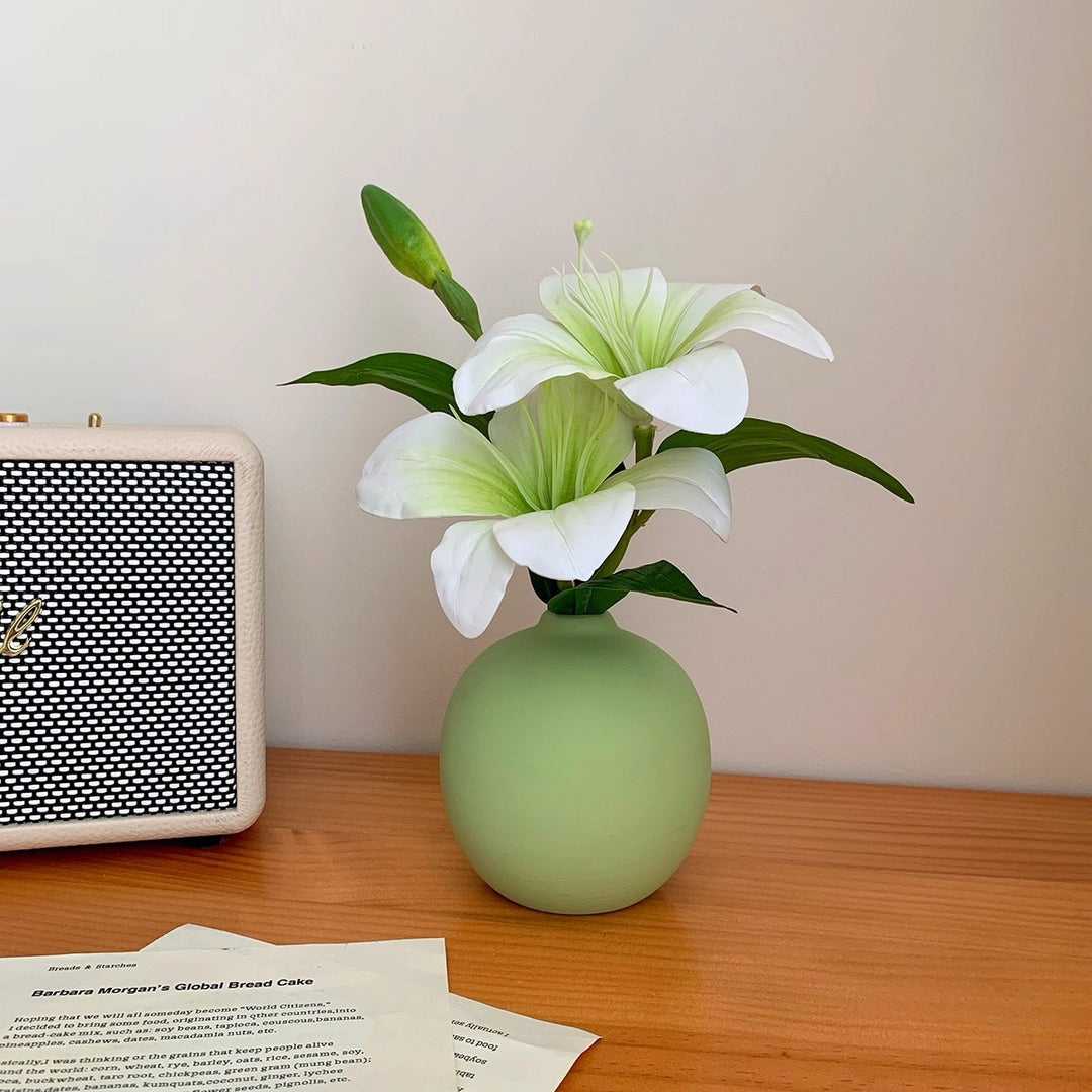Elegante Decoratieve Bloemvaas voor Binnenhuisdecoratie