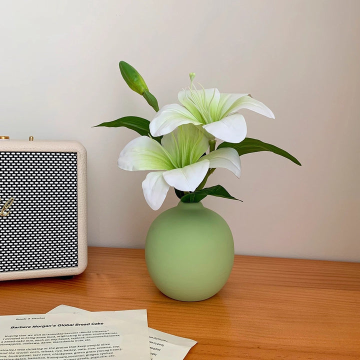 Elegante Decoratieve Bloemvaas voor Binnenhuisdecoratie
