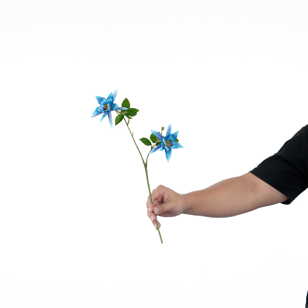Levendige Multi-Bloom Bloemstengel