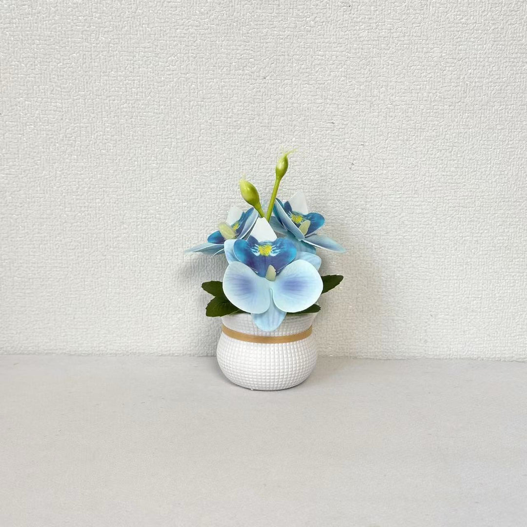 Decoratieve Potted Orchidee Arrangement voor Huishouddecoratie