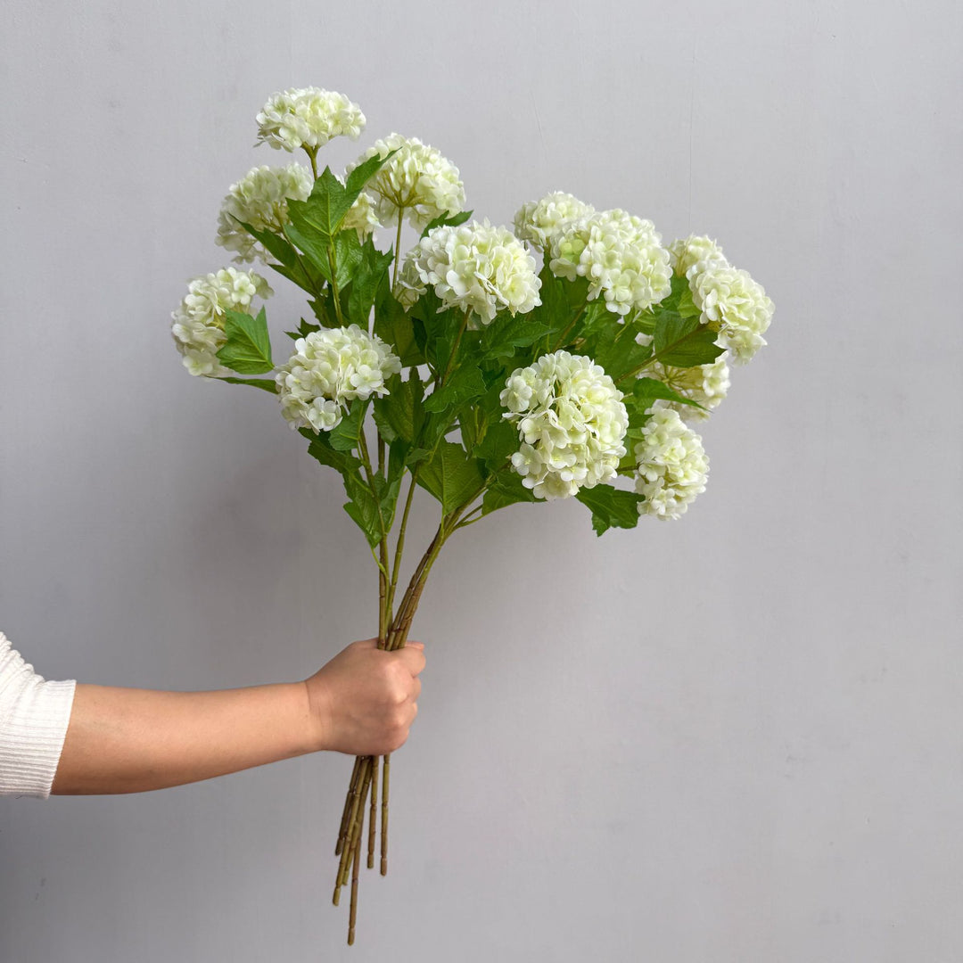 Decoratieve Hortensia Steel