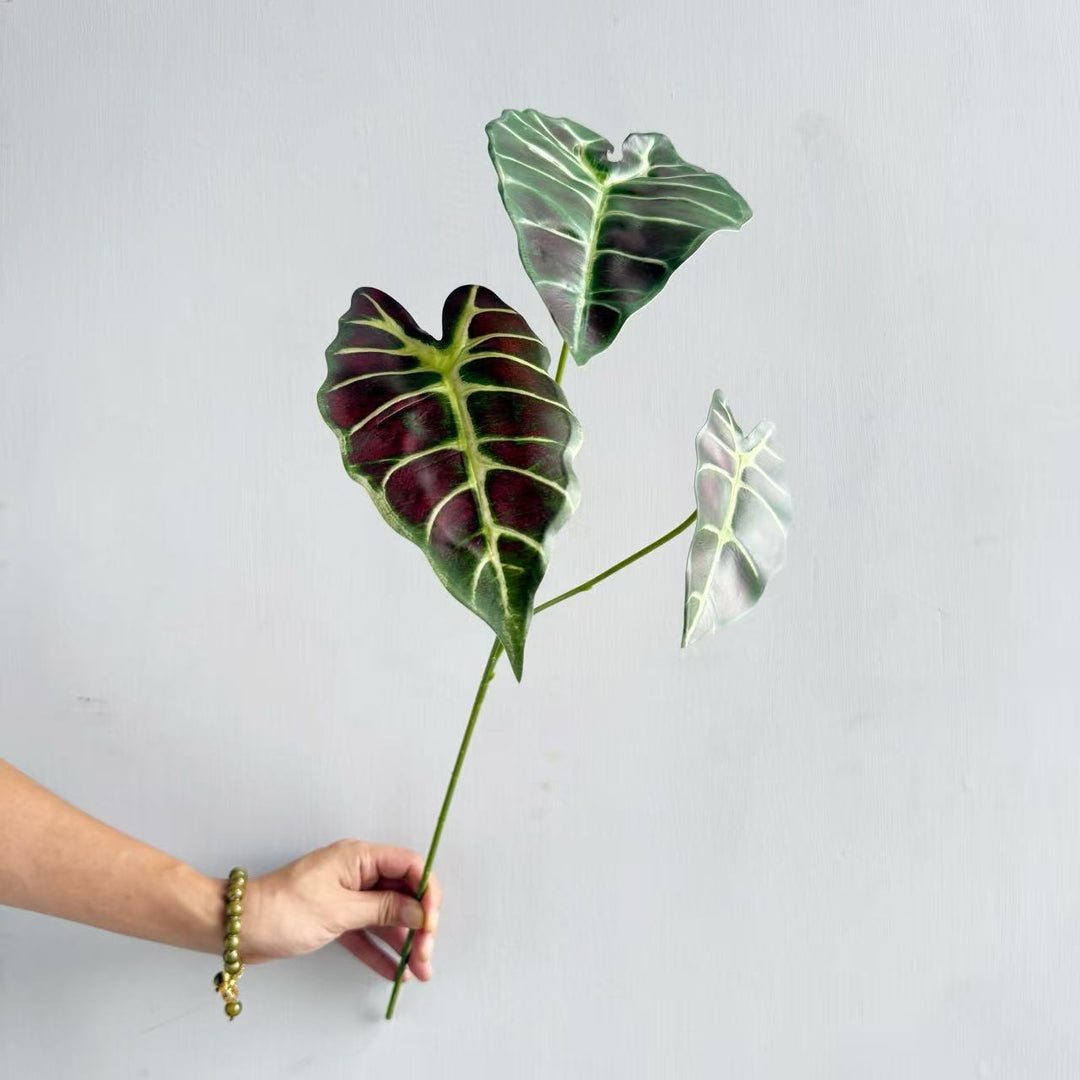 Moderne Decoratieve Plant