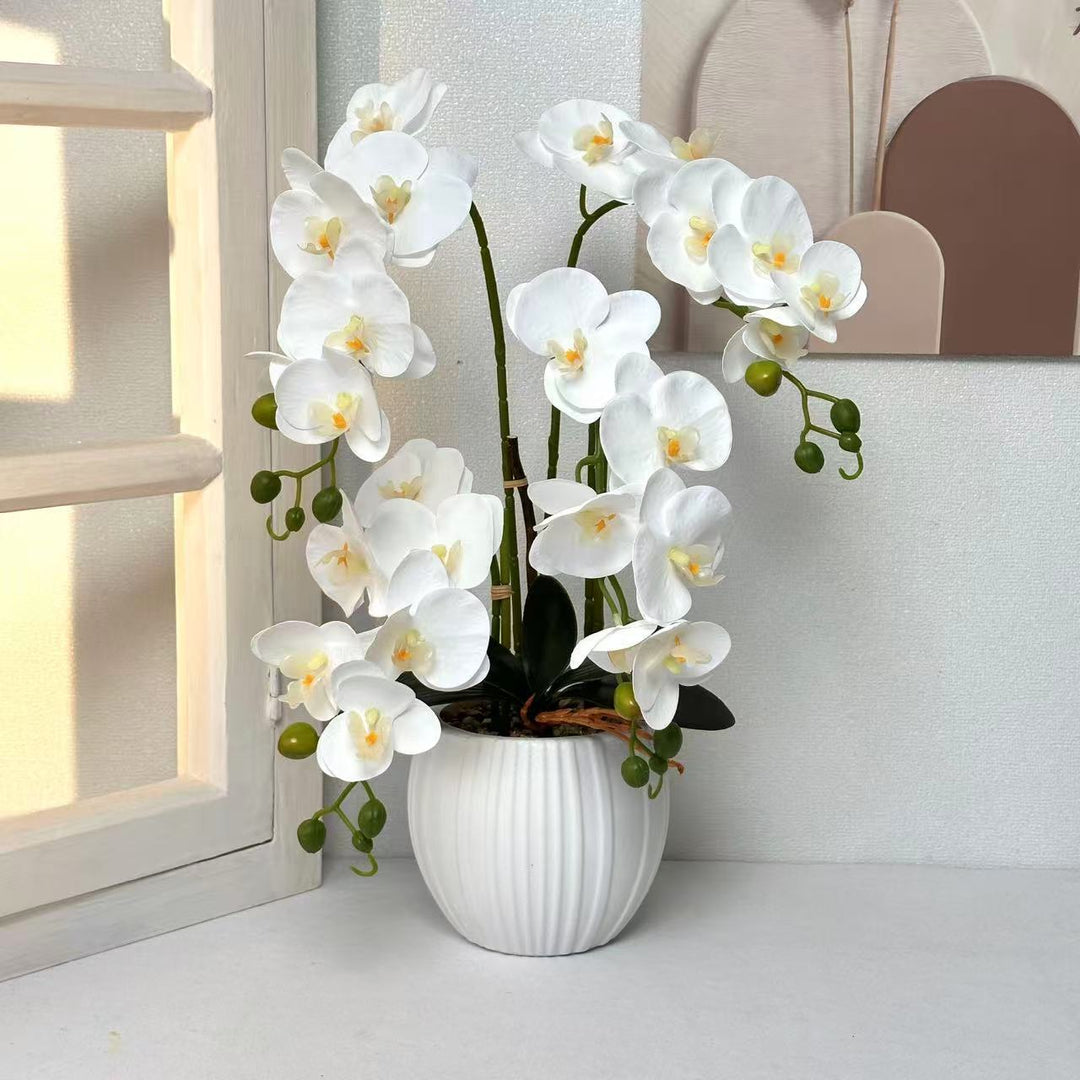 Elegante Orchidee Bloem Arrangement