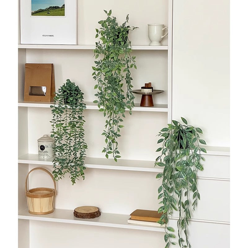 Levensechte Hang Eucalyptus Plant