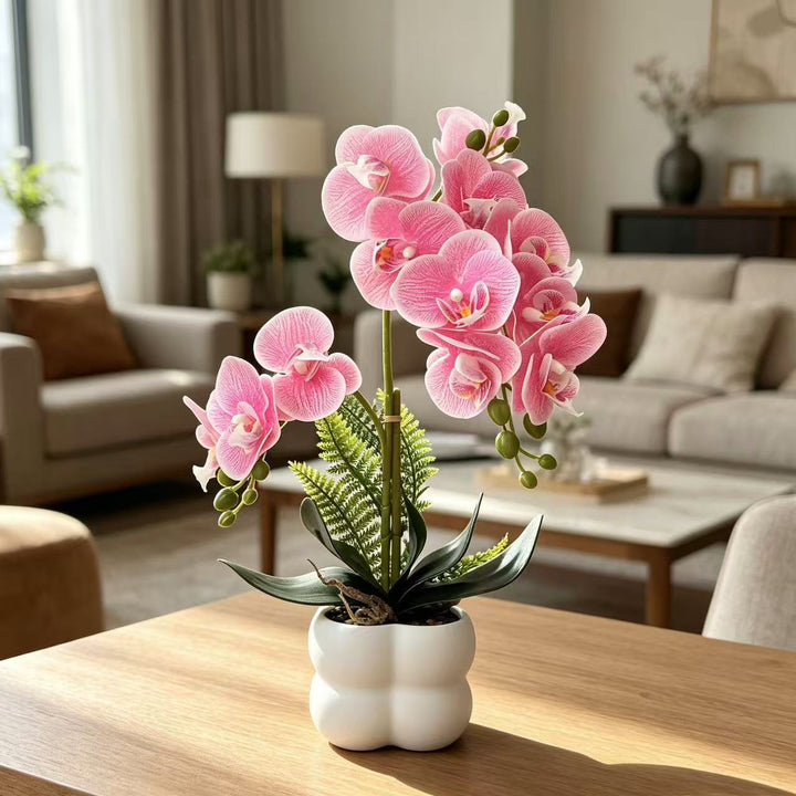 Premium Levensechte Orchidee Plant Arrangement