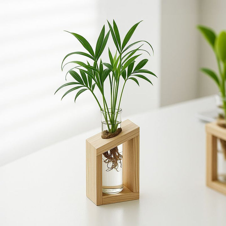 Elegante Glazen Plantenhouder Set voor Thuisdecoratie