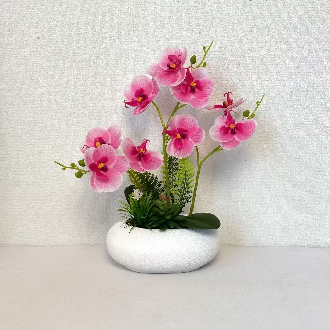 Decoratieve Neporchidee