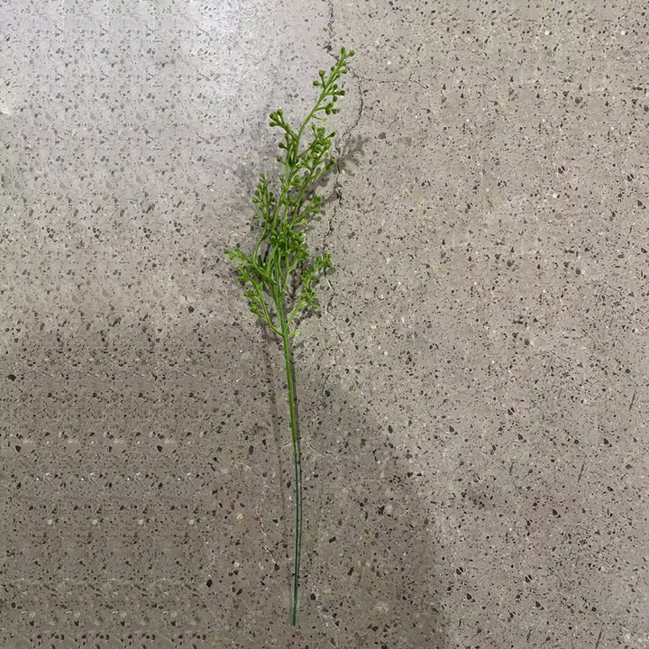 Decoratieve Nepplant Stengel