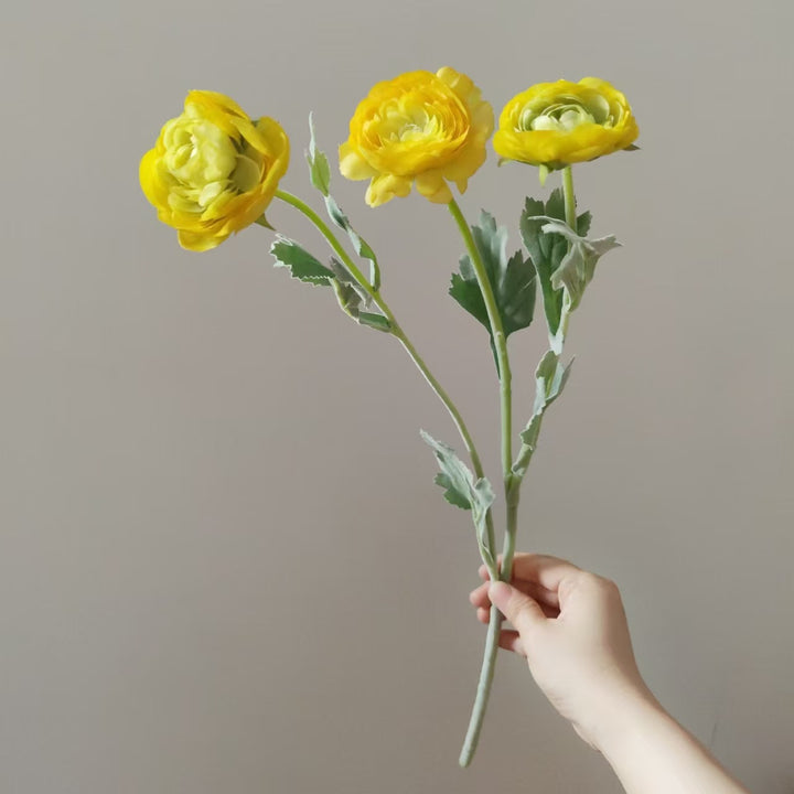Levensechte Ranunculus Bloemsteel