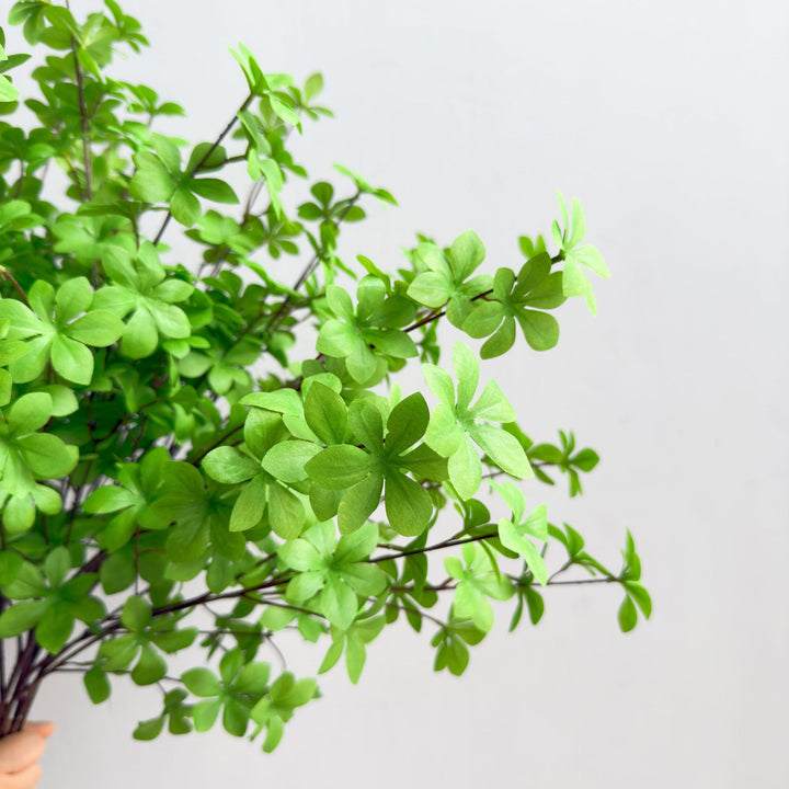 Elegante Decoratieve Plant